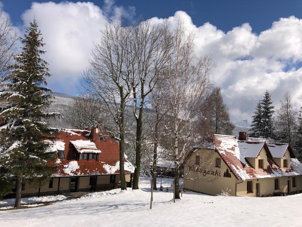 Willa Wiezyczki Świeradów-Zdrój Exterior foto
